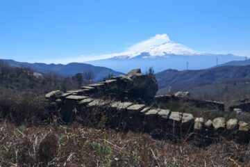 IMG-20260227-WA0023