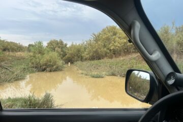 IMG-20260919-WA0050